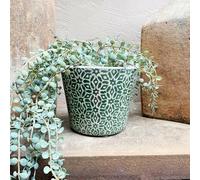 Green and White Geometric Star Leaf Ceramic Rustic Dutch Plant Pot Cover Planter, Geometric Planter, Crackle Glaze Orchid Pot Succulent Planter, Indoor House 12cm Plant Pot