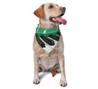 Green and White Piano Keys Dog Bandana Pet Scarf Accessories for Small Medium Dogs Cats Photo Prop, Triangle Pet Bandanas Adjustable Puppy Bib Washable Dog Kerchief Puppy Neckerchief