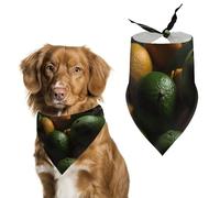 Green and Yellow Oranges Dog Bandana Triangle Dog Scarf Washable Polyester Dog Bibs Cute Pet Bandana for Medium Large Dogs Puppy and Cats