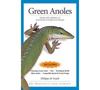 Green Anoles: From the Experts at Advanced Vivarium Systems