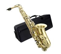 Green Antique Key Alto Saxophone Beginner Set Eb Professional Brass with Accessories Beginner Saxophone