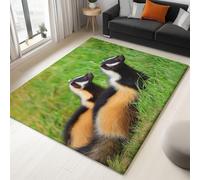 Green Area Rug Surrealism Animal Skunk Printed Design Short Pile Carpet Super Soft Short Pile Rug Living Room Carpet Hallway Runner Door Floor Mat, 80 x 150 cm
