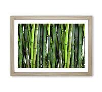 Green Bamboo Cane Forest Framed Print | A2 Oak Framed Wall Art | Ready to Hang | Modern Landscape Picture | Living Room Bedroom Lounge Office