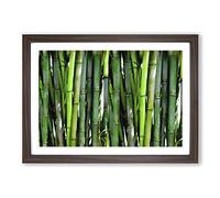 Green Bamboo Cane Forest Framed Print | A2 Walnut Framed Wall Art | Ready to Hang | Modern Landscape Picture | Living Room Bedroom Lounge Office