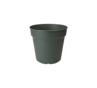 Green Basics Growpot 21cm Leaf Green Eco friendly Plastic for Fruits Vegetables