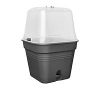 Green Basics Growpot Square All in 1 15cm Living Black
