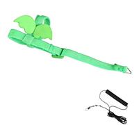 Green Bird Harness and Leash for Parrots, Adjustable Chest Vest with Wings, 2m Flight Training Safety Lead for Cockatiel, Parakeet and Lovebird