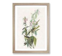 Green Black-Capt Flycatcher Bird by John James Audubon Framed Print | A2 Oak Framed Wall Art | Ready to Hang | Modern Nature Picture | Living Room Bedroom Lounge Office