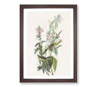 Green Black-Capt Flycatcher Bird by John James Audubon Framed Print | A2 Walnut Framed Wall Art | Ready to Hang | Modern Nature Picture | Living Room Bedroom Lounge Office