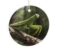Green Blades between The Branches Round Ceramic Pendant Hanging Festival Ornament, Personalized Double Sided Ceramic Home Decor, Lightweight Durable Hanging Ornament Gift for Home, Party, Women Men