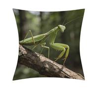 Green Blades between The Branches Throw Pillow Covers, Waterproof Faux Linen Pillow Cases with Invisible Zipper, Decorative Square Cushion Covers for Sofa Couch Living Room Bedroom 18x18 Inch