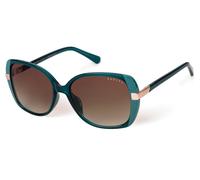 Green Blue/Brown / 57