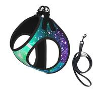 Green Blue Purple Galaxy printing Puppy Harness, Dog Harness and Leash Set, Soft Mesh Reflective Breathable Lightweight Vest-Style