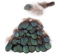 Green Bronze Chicken Feathers, Pheasant Feathers Iridescent Tippet Plumage Feathers for Home Garden Decoration DIY Hair Accessory Fashion