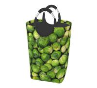 Green Brussel Sprout Print, Laundry Hamper, Collapsible Laundry Basket Large Durable Storage Bin with Handles 50L