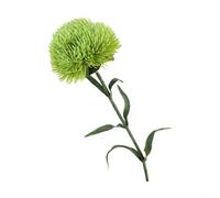 Green Carnation Artificial Bloom for Bathroom Vanity Counter or Kitchen Windowsill Decoration with Fade-Resistant Finish (Green)