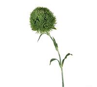 Green Carnation Artificial Bloom for Bathroom Vanity Counter or Kitchen Windowsill Decoration with Fade-Resistant Finish (Dark Green)