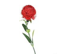 Green Carnation Artificial Flower, 55cm Soft Rubber Bloom, Realistic Faux Floral Stem, Low Maintenance Decor for Home Office Living Room Wedding Centerpiece(Red)