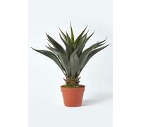Green 'Century Plant' Artificial Agave Americana with Pot, 60 cm Homescapes Green One Size