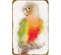 Green Cheek Conure Animal Vintage Tin Sign poster Funny Metal Decor Wall Sign for Home Cafes Pubs Club Plaque Tin Sign Wall Decoration 12 X 8 INCH
