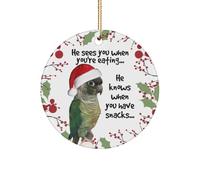 Green Cheek Conure Christmas Tree Ornament for Him Her Men Women Parakeet Parrot Lover Breeder Gift Round Ceramic Keepsake, White