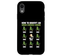 Green Cheeked Conure How To Identify Bird Tropical Parrots Case for iPhone XR