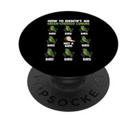 Green Cheeked Conure How To Identify Bird Tropical Parrots PopSockets Adhesive PopGrip