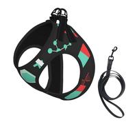 Green Chemistry And Science Patterns,Pet Harness,Adjustable Reflective Dog Harness,Pet Leash Vest,S