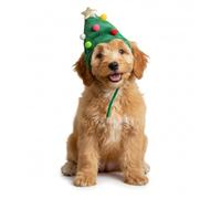 Green Christmas Tree Dog Hat for Small to Medium Dogs - Funny Winter Headwear, Warm Xmas Costume for Puppy, Pug, Frenchie & Spaniel