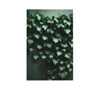 Green Creeper Unbreakable Polycarbonate Switch Plate-Modern 1 Gang Light Cover for Home Office with Matching Screws