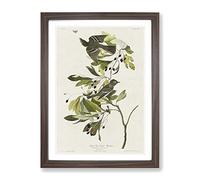 Green Crested Flycatcher By John James Audubon Vintage Framed Wall Art Print, Ready to Hang Picture for Living Room Bedroom Home Office Décor, Walnut A4 (34 x 25 cm)