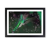 Green-Crowned Hummingbird in Abstract Framed Print | A2 Black Framed Wall Art | Ready to Hang | Abstract Fantasy Picture | Living Room Bedroom Lounge Office