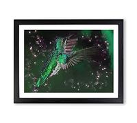 Green Crowned Hummingbird In Abstract Modern Art Framed Print | A3 Black Framed Wall Art | Ready to Hang | Abstract Fantasy Picture | Living Room Bedroom Lounge Office