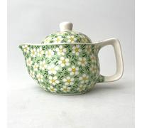 Green Daisy Pattern Small Herbal Tea Pot with Strainer 350ml