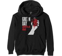 Green Day Hoodie American Idiot Band Logo Official Mens Black Pullover M