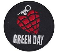 Green Day American Idiot Round Patch Badge Embroidered Iron on Applique Patch Accessory