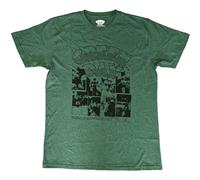 Green Day T Shirt Dookie Frames Band Logo Official Mens Green XL