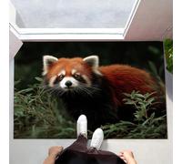 Green Door Mats Indoor, 50x70 cm Non-slip Doormats,Soft Low Pile Wild Red Panda Print Front Door Mat,Machine Washable Nature Animals Entrance Rug,Floor Carpet for Kitchen Bedroom