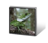 Green Dragon Lizard Novelty Brooches & Pins Square Personalised Metal Lapel Badge with Butterfly Clutch Clasp