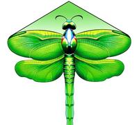 Green Dragonfly Kite for Kids Easy to Fly, Single Line Kites for Teens