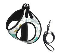 Green Dragonfly Print Pet Leash Vest,Breathable Mesh Pet Harness, Reflective For Small Medium Dogs Safe Easy Walking