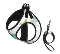 Green Dragonfly printing Puppy Harness, Dog Harness and Leash Set, Soft Mesh Reflective Breathable Lightweight Vest-Style