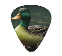 Green duck guitar picks in three different thicknesses, suitable for electric guitar and band players