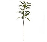 Green Eucalyptus Long Single Stem Artificial Foliage (H) 950mm