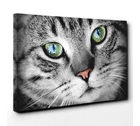 Green Eyed Cat Canvas Print | Gallery Wrapped 30mm Frame Wall Art | 30x20 inches | Ready to Hang | Modern Animals Picture | Living Room Bedroom Lounge Office