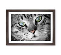 Green Eyed Cat Framed Print | A2 Walnut Framed Wall Art | Ready to Hang | Modern Animal Picture | Living Room Bedroom Lounge Office
