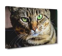 Green Eyed Cat No.2 Canvas Print | Gallery Wrapped 30mm Frame Wall Art | 20x14 inches | Ready to Hang | Modern Animals Picture | Living Room Bedroom Lounge Office