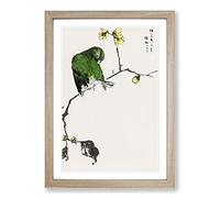Green Fairy Pitta Bird by Numata Kashu Framed Print | A2 Oak Framed Wall Art | Ready to Hang | Modern Nature Picture | Living Room Bedroom Lounge Office
