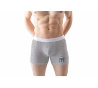 Green Fish Men's FDMBXI-100004 Boxer Briefs, Grey,