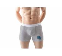 Green Fish Men's FDMBXI-100119 Boxer Briefs, Grey,